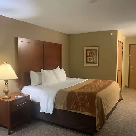 Kasteel De Vanenburg Ξενοδοχείο Putten