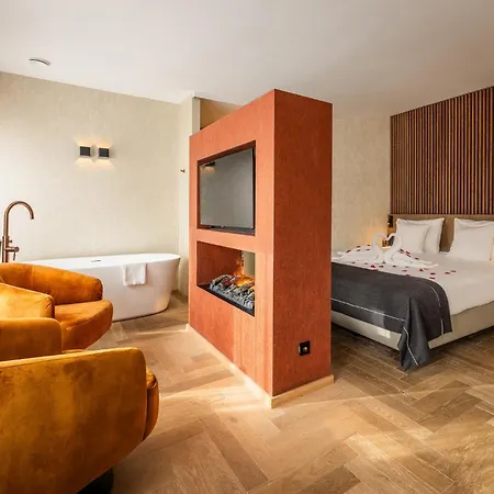 Отель Kasteel De Vanenburg 4*