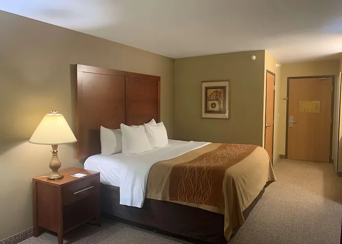 Kasteel De Vanenburg 호텔 푸텐