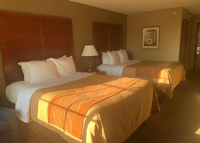 Kasteel De Vanenburg