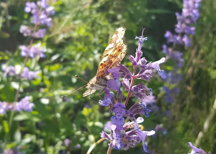 호텔 Kasteel De Vanenburg 푸텐