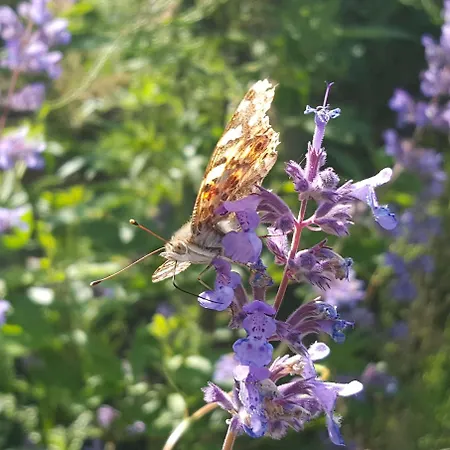 호텔 Kasteel De Vanenburg 푸텐